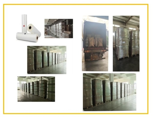 فیلمی ضد خراش 100٪ شفاف برای کاربردهای پوشش 100MM تا 2200MM عرض